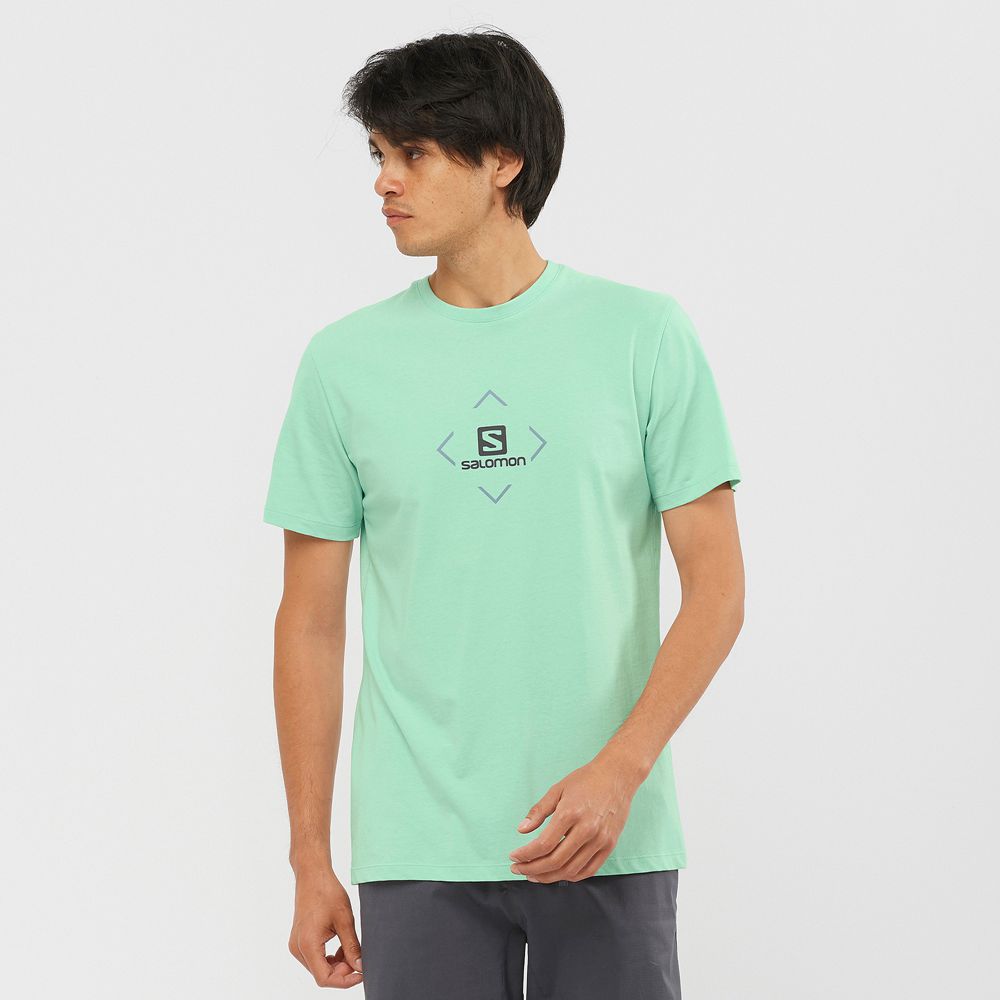 Salomon SALOMON COTTON M Camisetas Hombre - Verde Menta - Colombia (13708-LZVK)